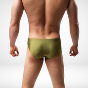Seamless Ultra - Soft Solid Color Briefs - CrownJewel.co