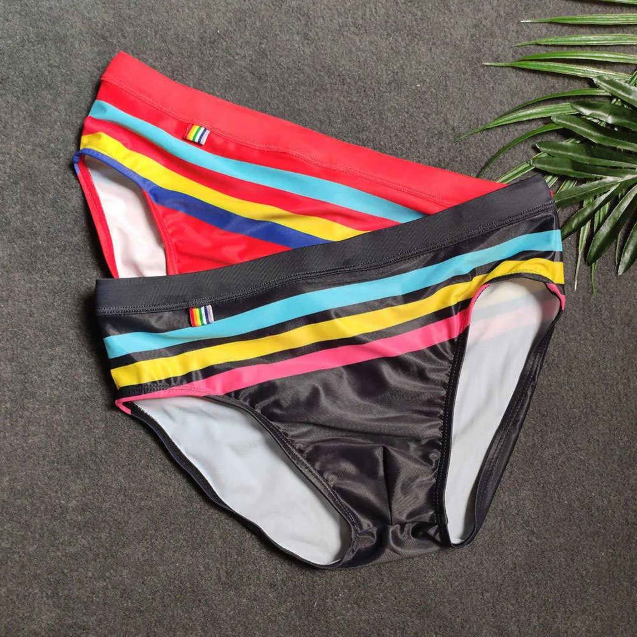 Men’s Stripe Swim Briefs - Red & Black